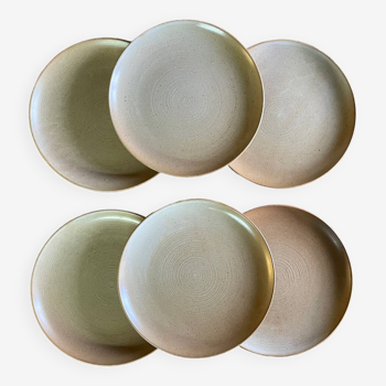 CNP stoneware dinner plates