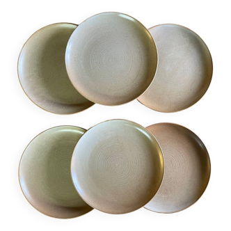 CNP stoneware dinner plates