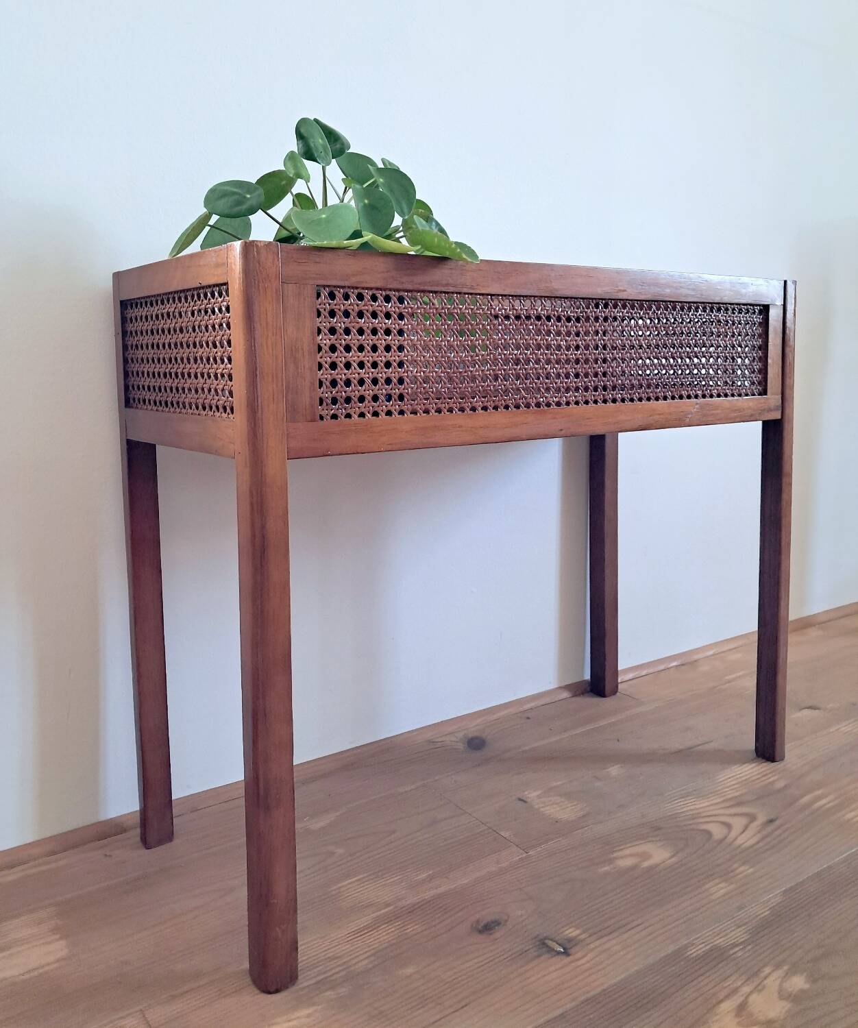 Wood and cane planter