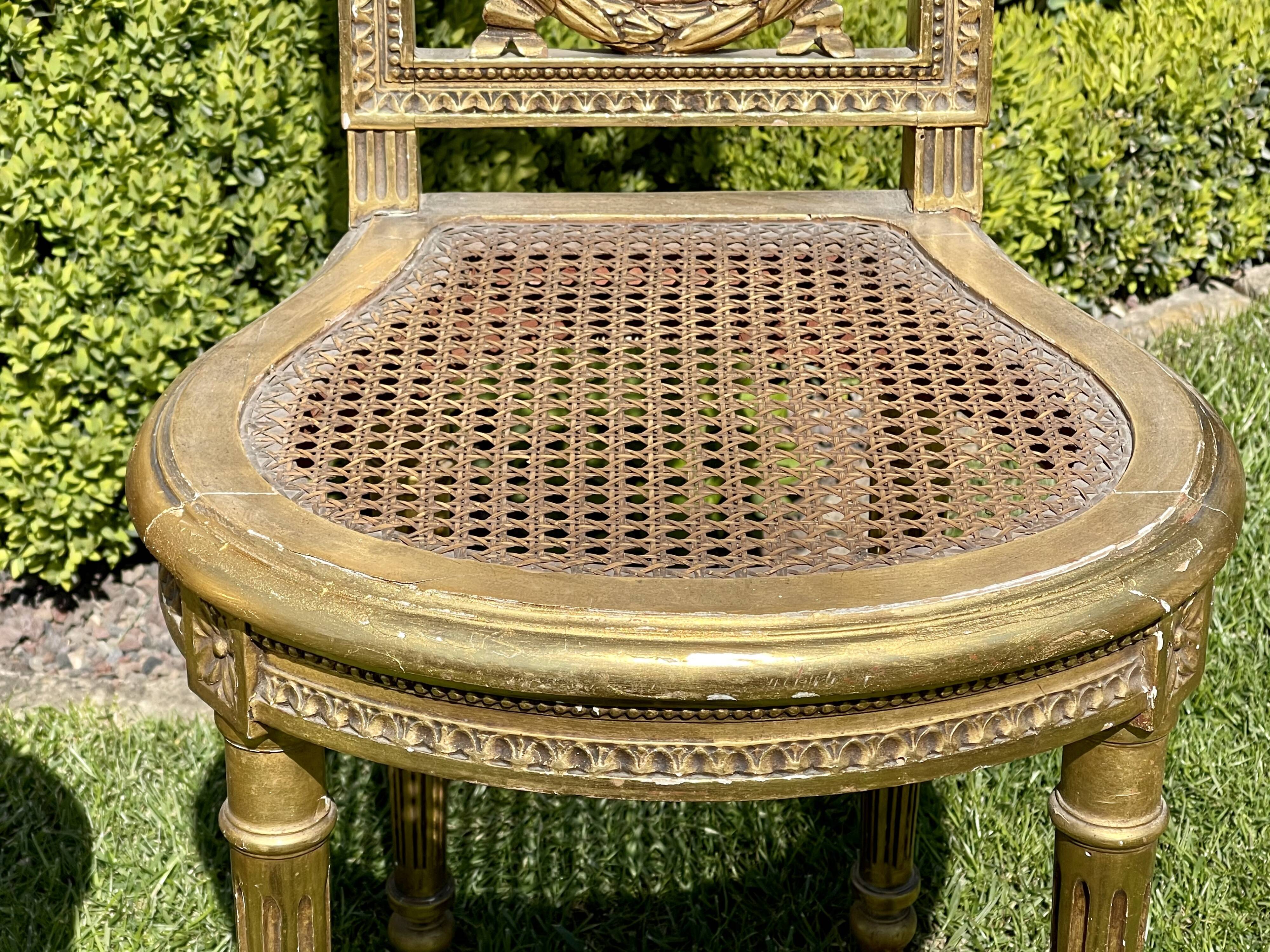 Pair of Golden Wood Chairs - Louis XVI Style Cannage
