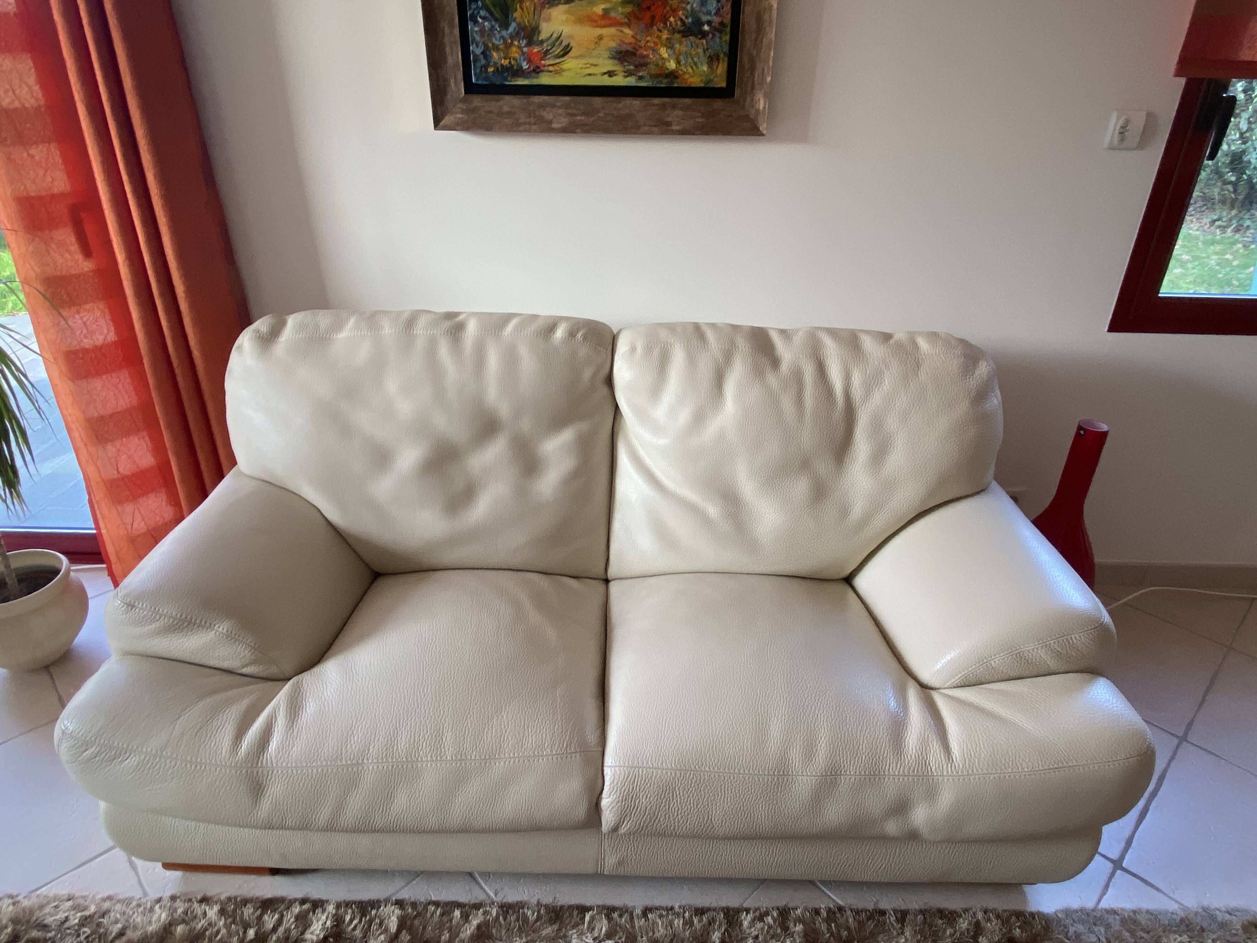 Roche bobois 2-seat sofa