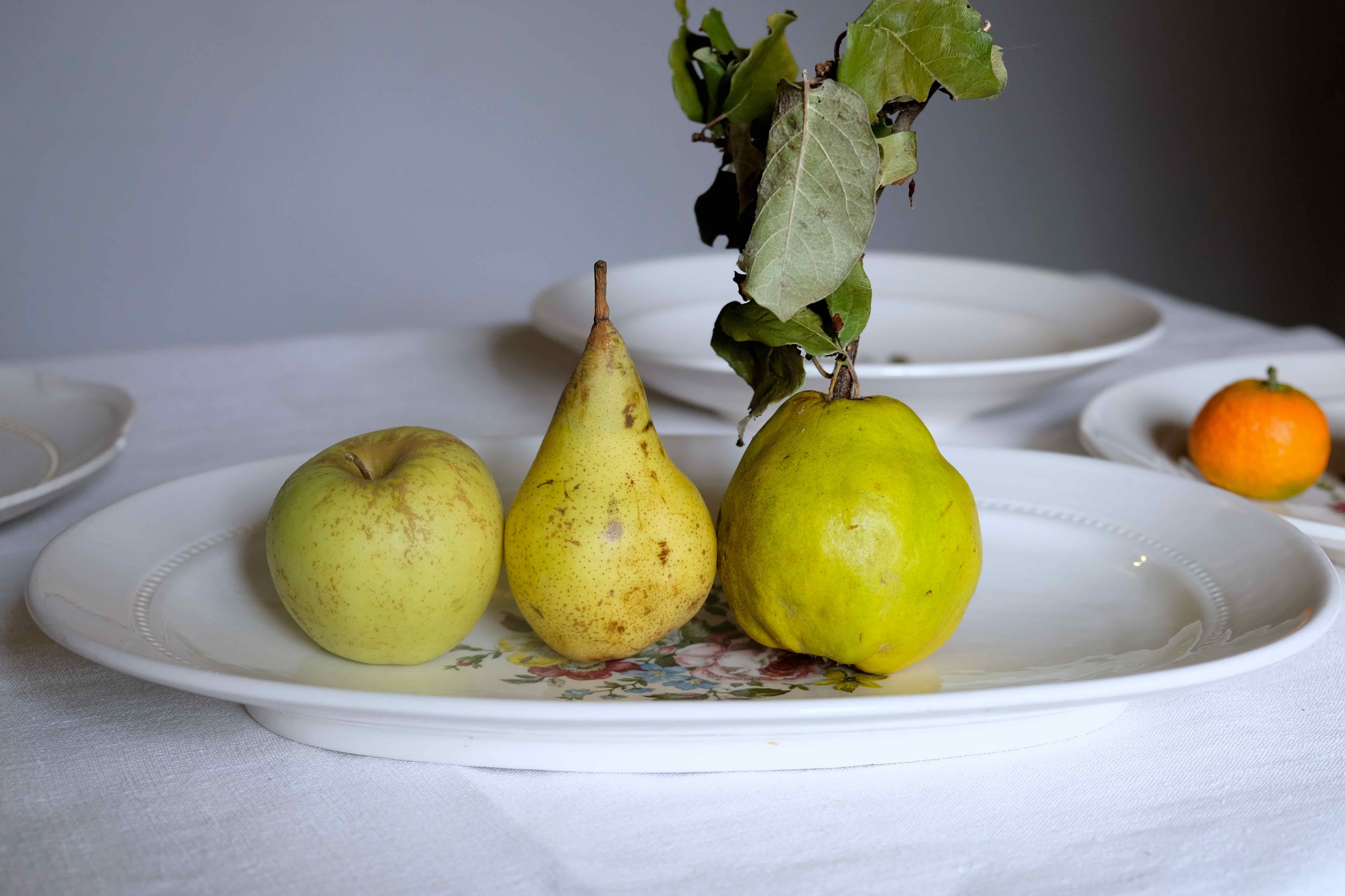 Flat faience of Lunéville China Keller & Guerin 1889 "Chaillot of Vercor" decoration in engraving enhanced drawing flowers