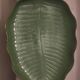 Large green leaf dish