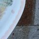 Large French porcelain dish L.C – Painted pike & gilded frieze