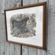 Gravure originale de Robert Hainard