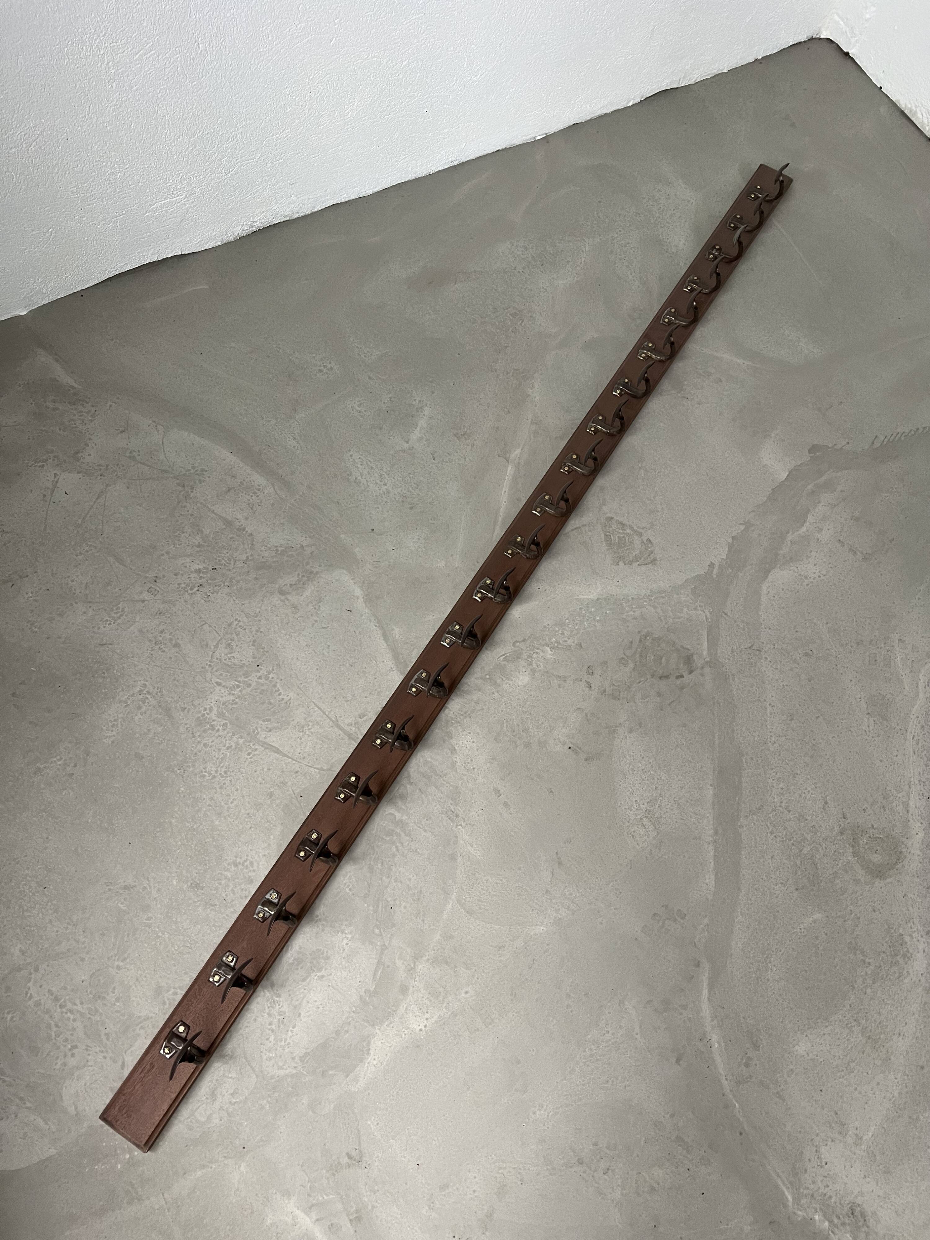 Old  school wall coat rack with 20 hooks, completely restored