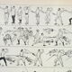 Engraving • Fencing, fighting, sport, sword • Original and vintage poster from 1898