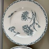 Set of 10 Lunéville ironstone soup plates, Oeillet model