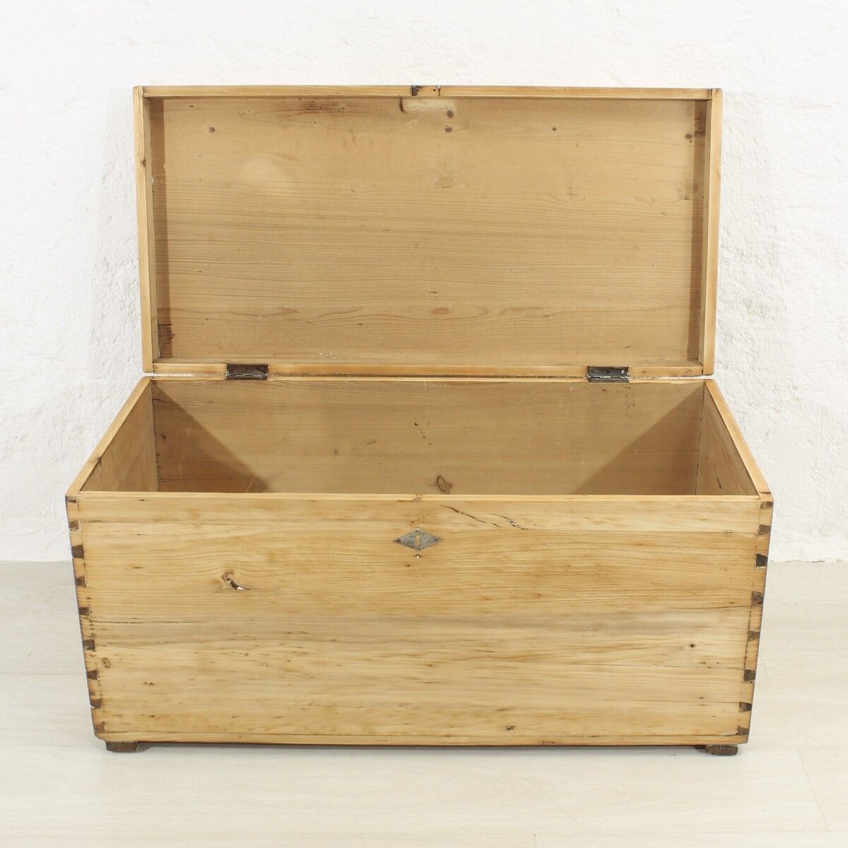 Antique fir trunk