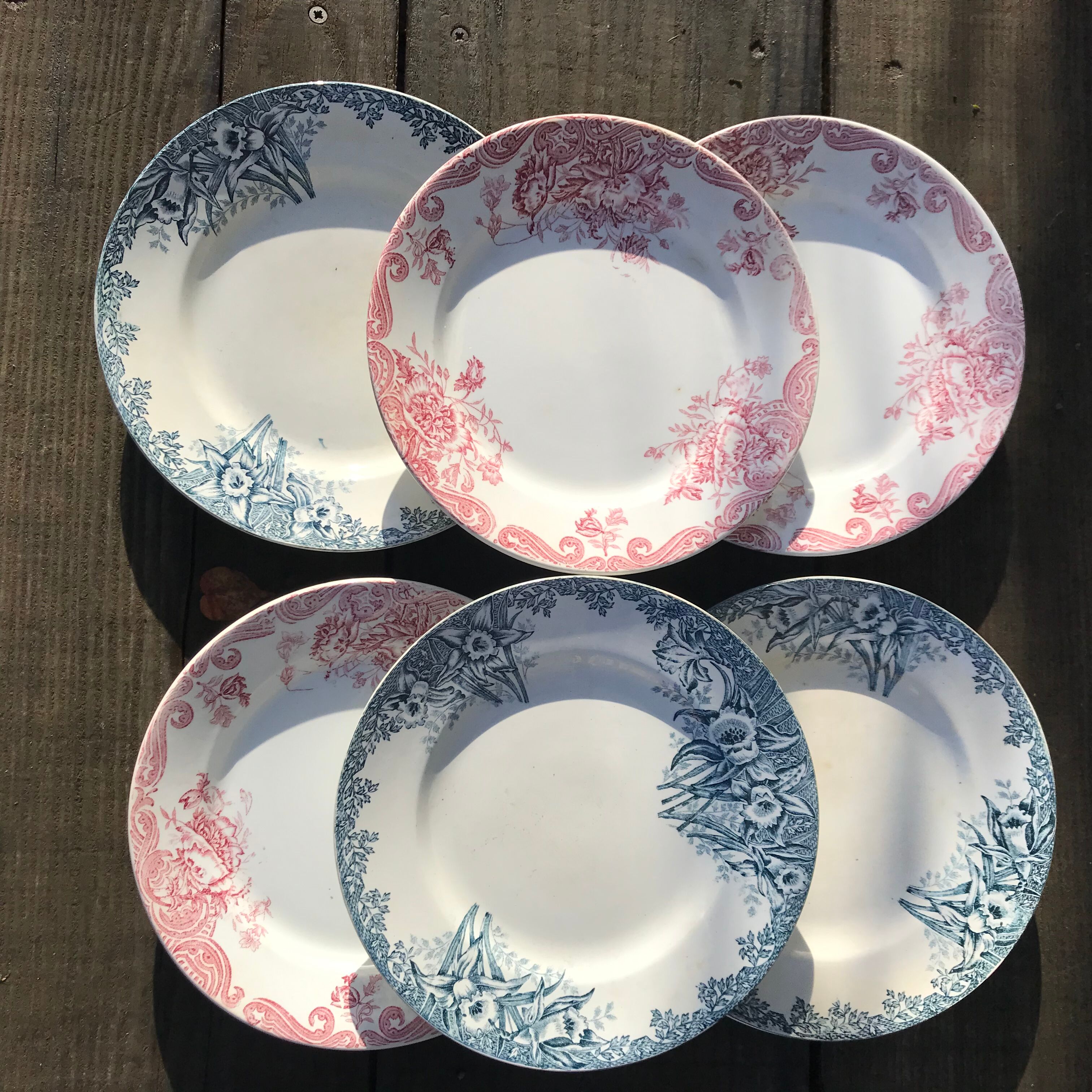 6 assiettes terre de fer dépareillées vintage 1900  a motif floral