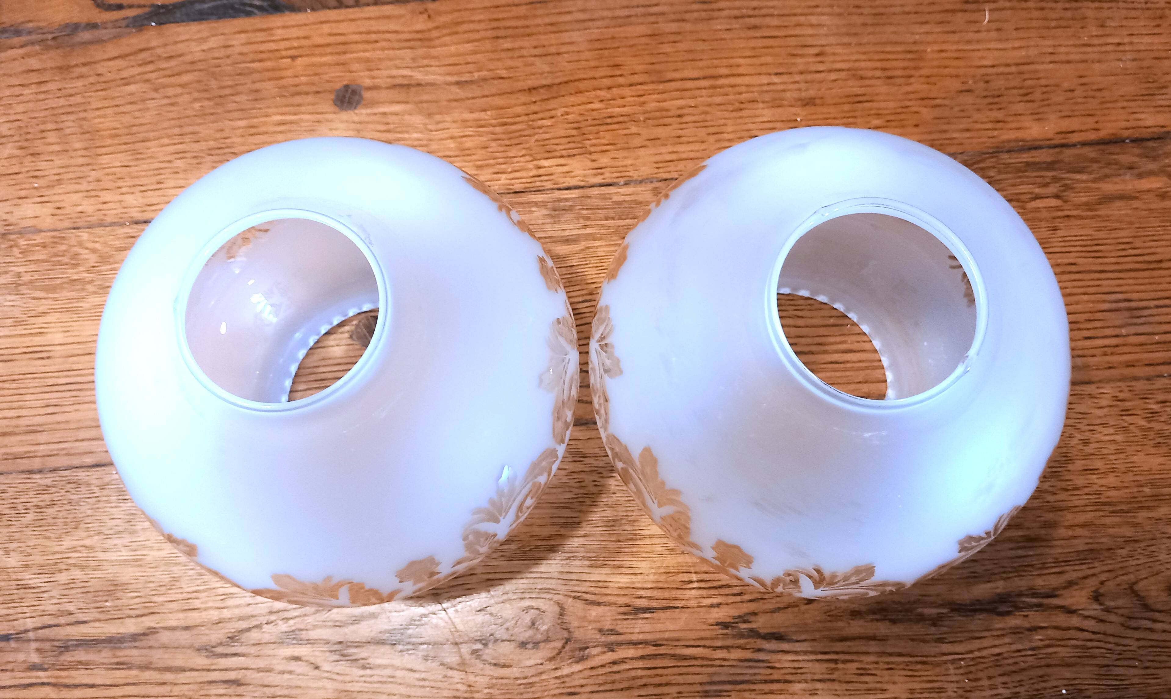 Pair of globes for light fixture