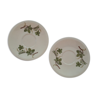 Vintage vine leaf pattern plates