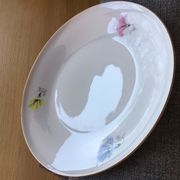 10 plates dessert porcelain decoration flowers 50's melitta