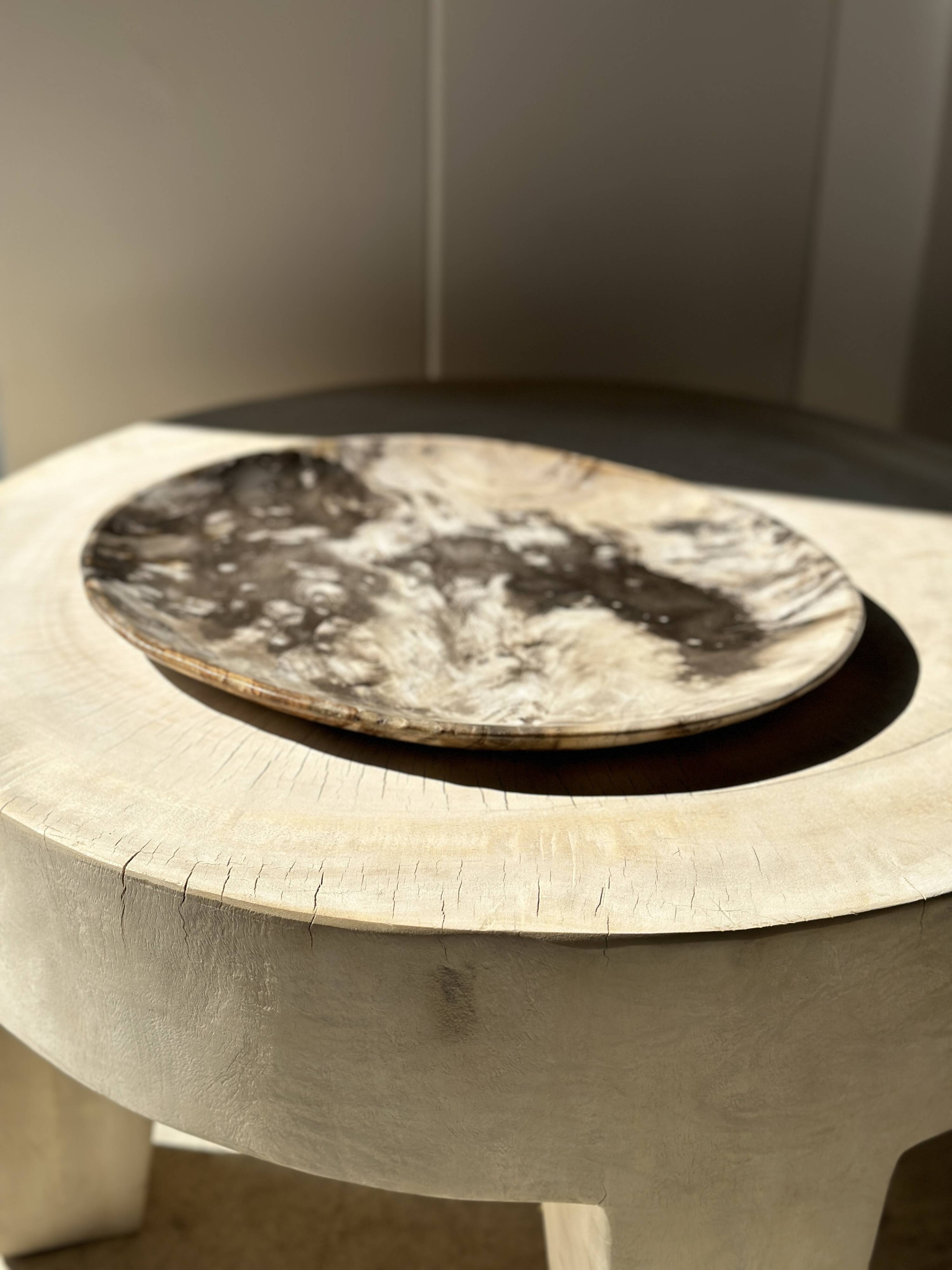 Very large pocket or dish in petrified wood