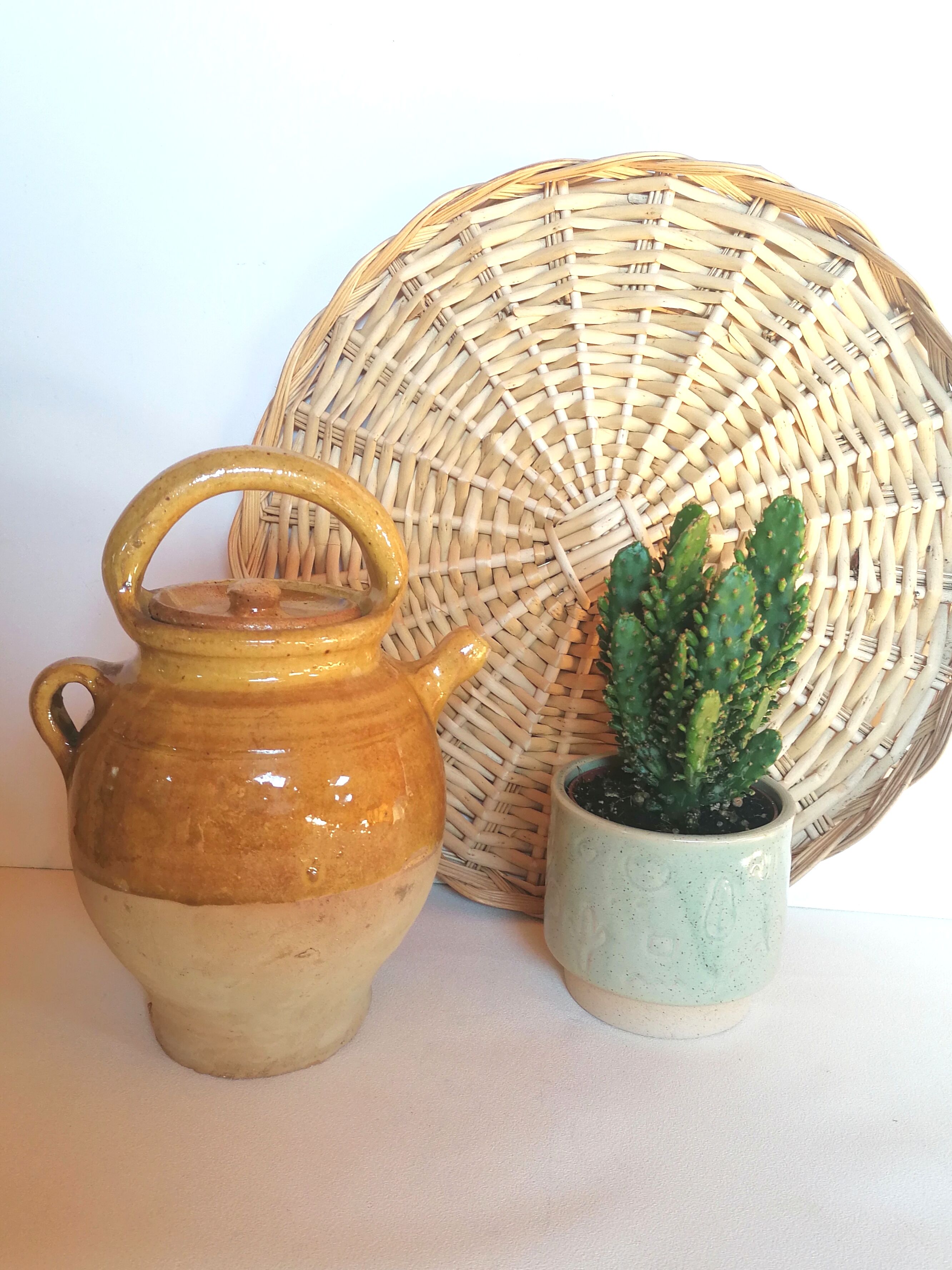 Enamelled jug with lid