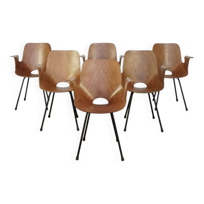 Ensemble de 6 chaises italiennes Vittorio Nobili Medea avec accoudoirs pour Fratelli Tagliabue