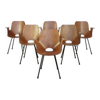 Set of 6 Italian Vittorio Nobili Medea chairs with armrests for Fratelli Tagliabue