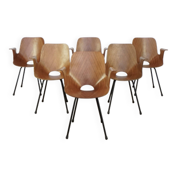 Set of 6 Italian Vittorio Nobili Medea chairs with armrests for Fratelli Tagliabue