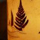 Vintage solid wood lamp and herbarium lampshade