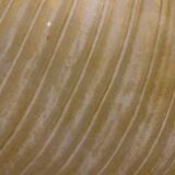 Venetian Murano glass Flushmount ceiling lamp, 1970s