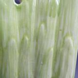 Asparagus dish in bubble