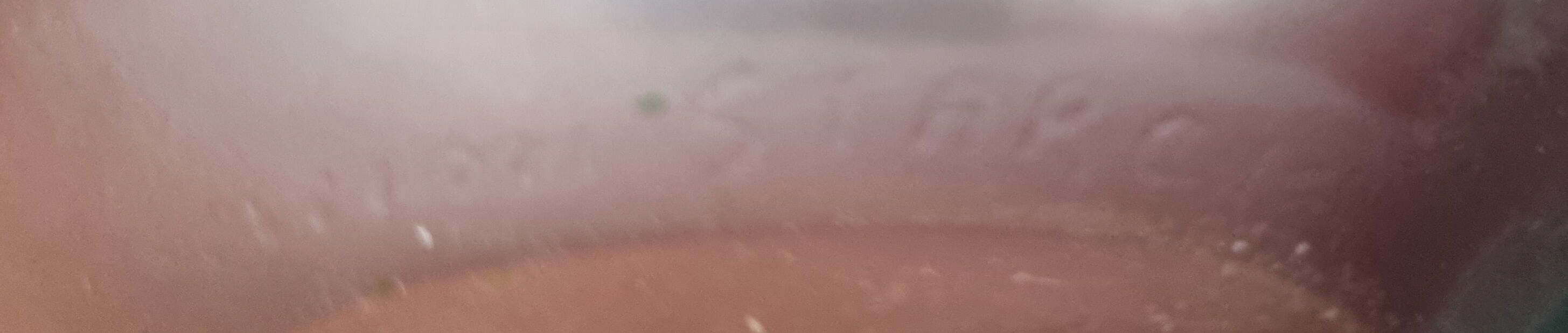 Cocoon vase "strangeness" Daum Starck