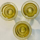 Glass cockroachs