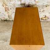 Vintage storage cabinet 50s /60