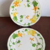 Villeroy & Boch plate set
