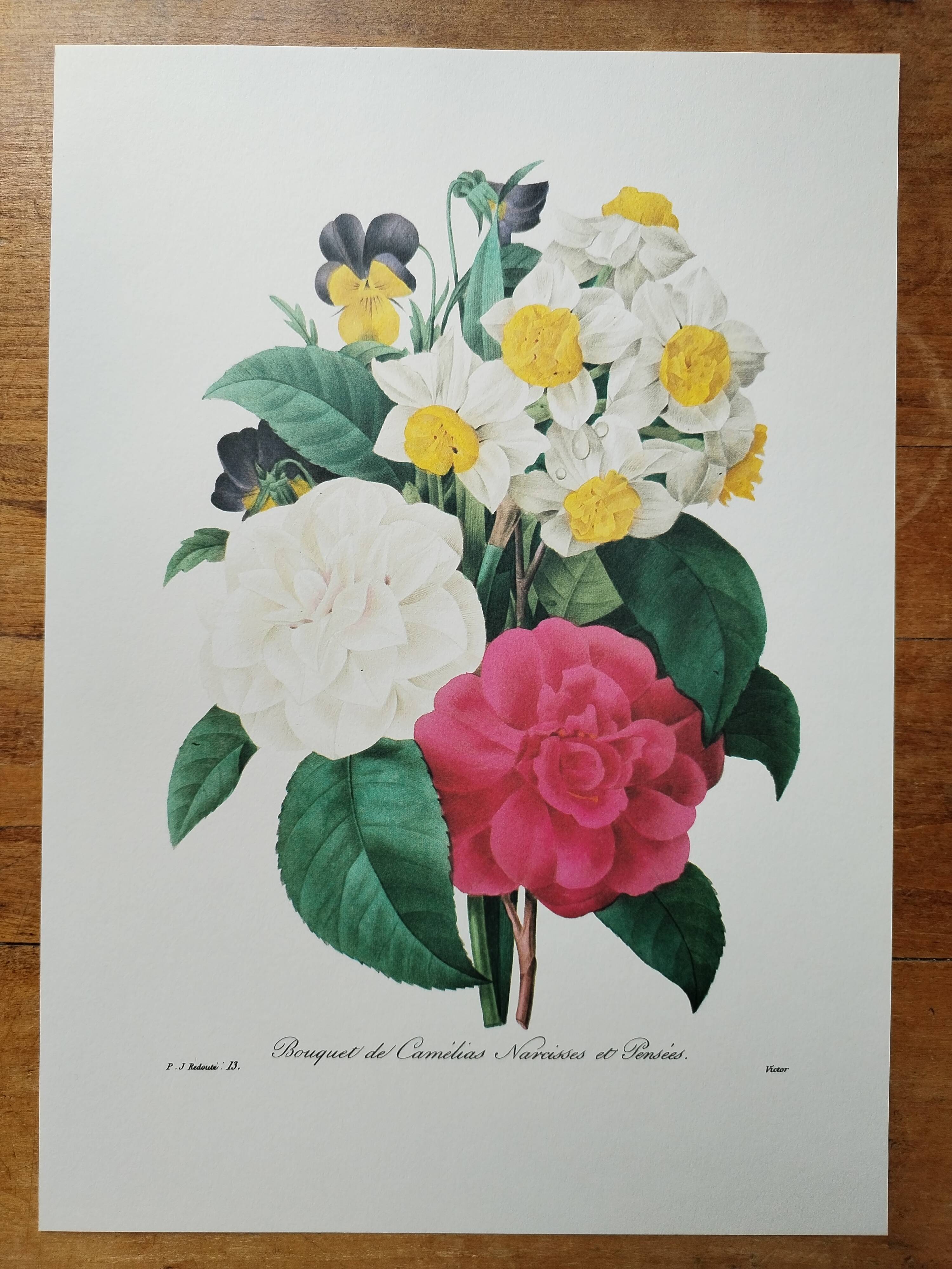 Original illustrated plate Bouquet of camellias, daffodils and pansies