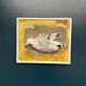 Original Swedish Oil on Canvas – “Seagull” by Ingeborg Stragnell – Signed