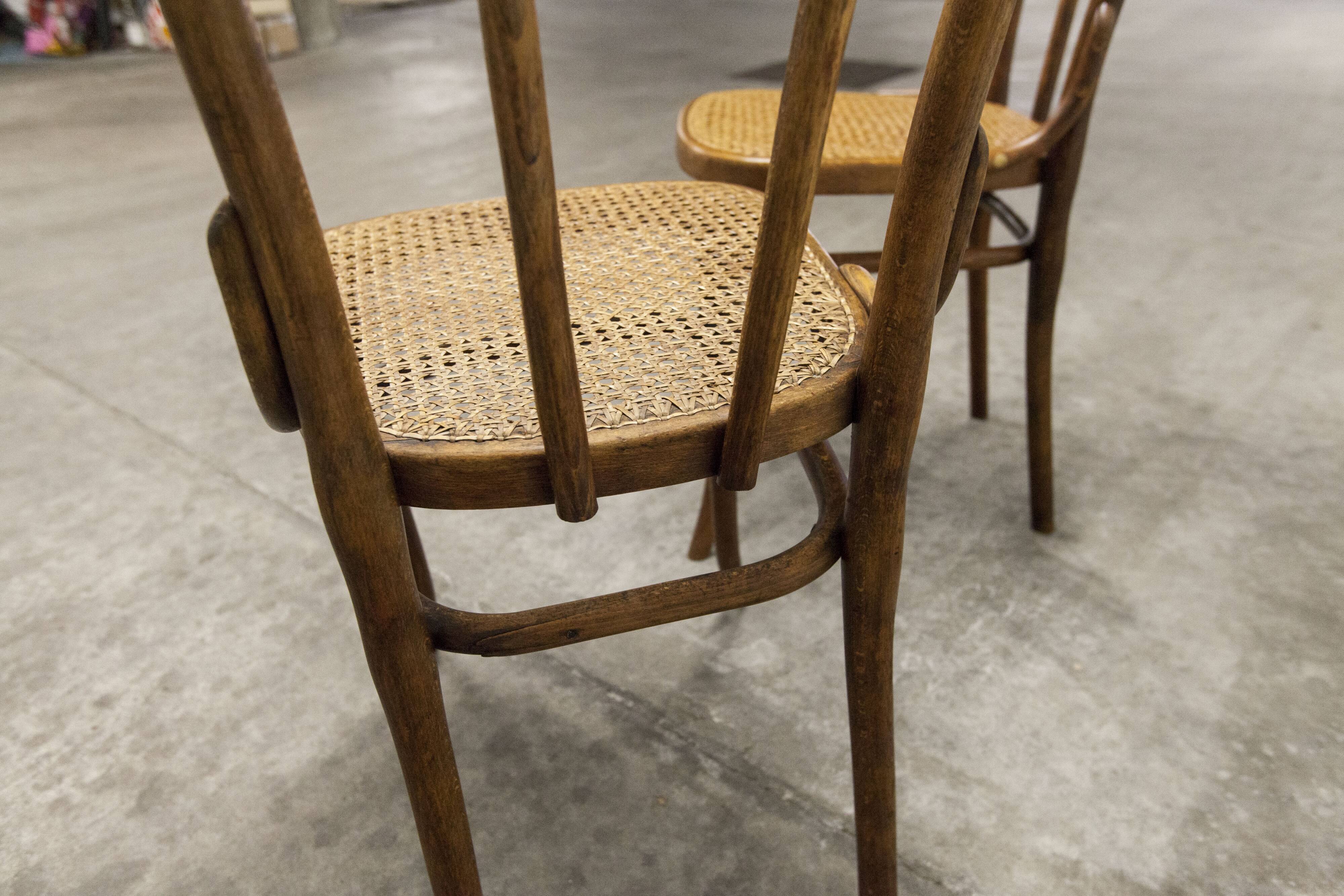 Pair of chairs bistrot Thonet Austria 1900 canning stamped