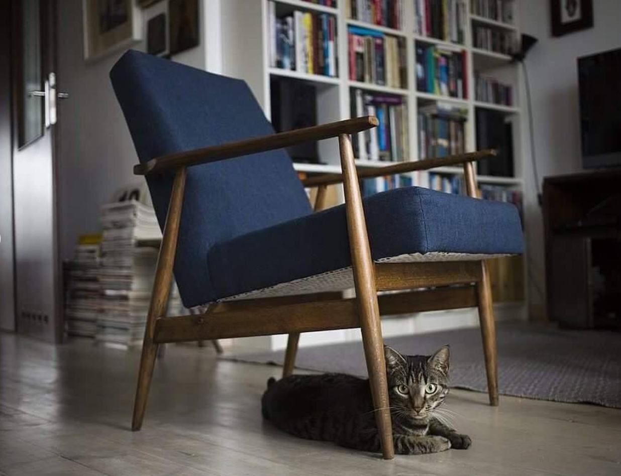 Fauteuil en vernis vintage 300-190 conçu par H. Lis. personnalisation