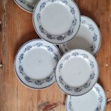 Serving of 6 plates in iron earth