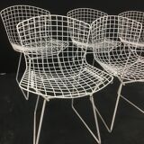 Series of 6 wire chairs by Harry Bertoia for Knoll International