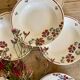Set of 8 vintage soup plates, Nelly de Salins