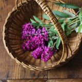 Round wicker basket with a rigid handle.
