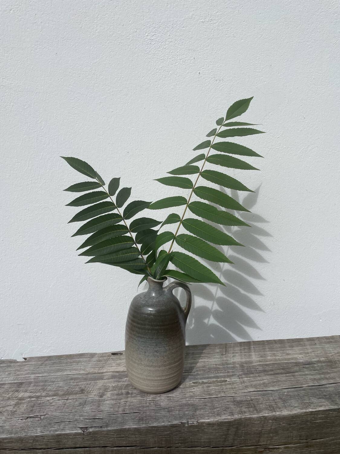 Beige ceramic vase signed Pierre Grau