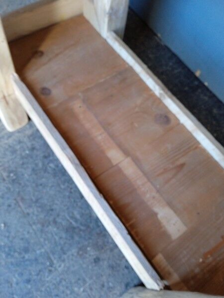 Established 100cm natural solid wood