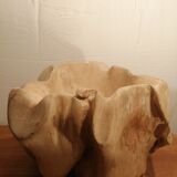 Teak root