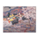 Paysage de fleurs d’amandier