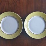 Flat plates Moulin des Loups Orchies (North)