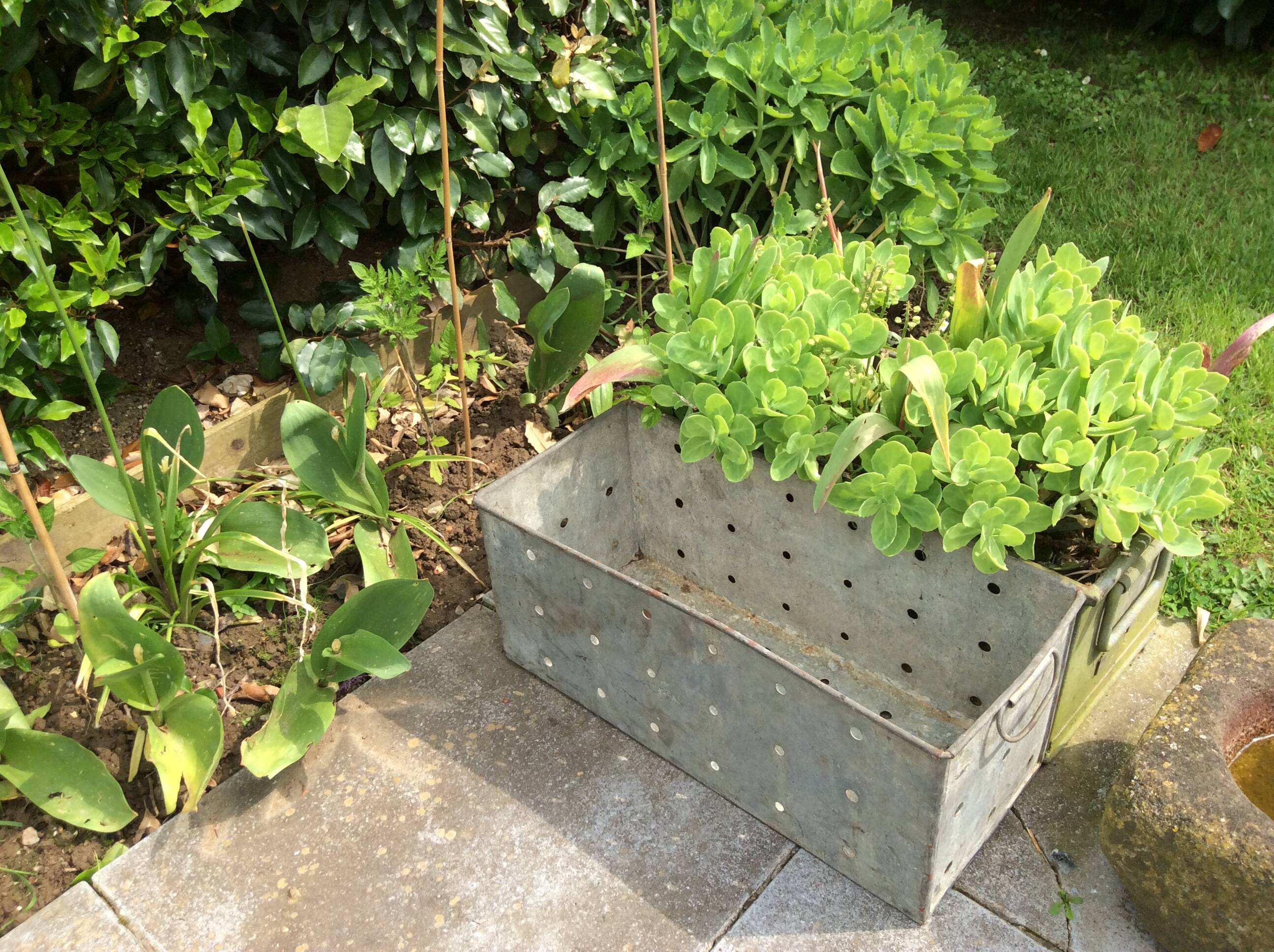 Metal planter