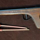 Eureka Hen Shooting Game