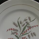 Lot de 6 assiettes plates en faïence de saint amand. modèle beauce.