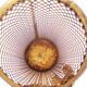 Tall Gilt Tassel Umbrella Stand by Li Puma Firenze