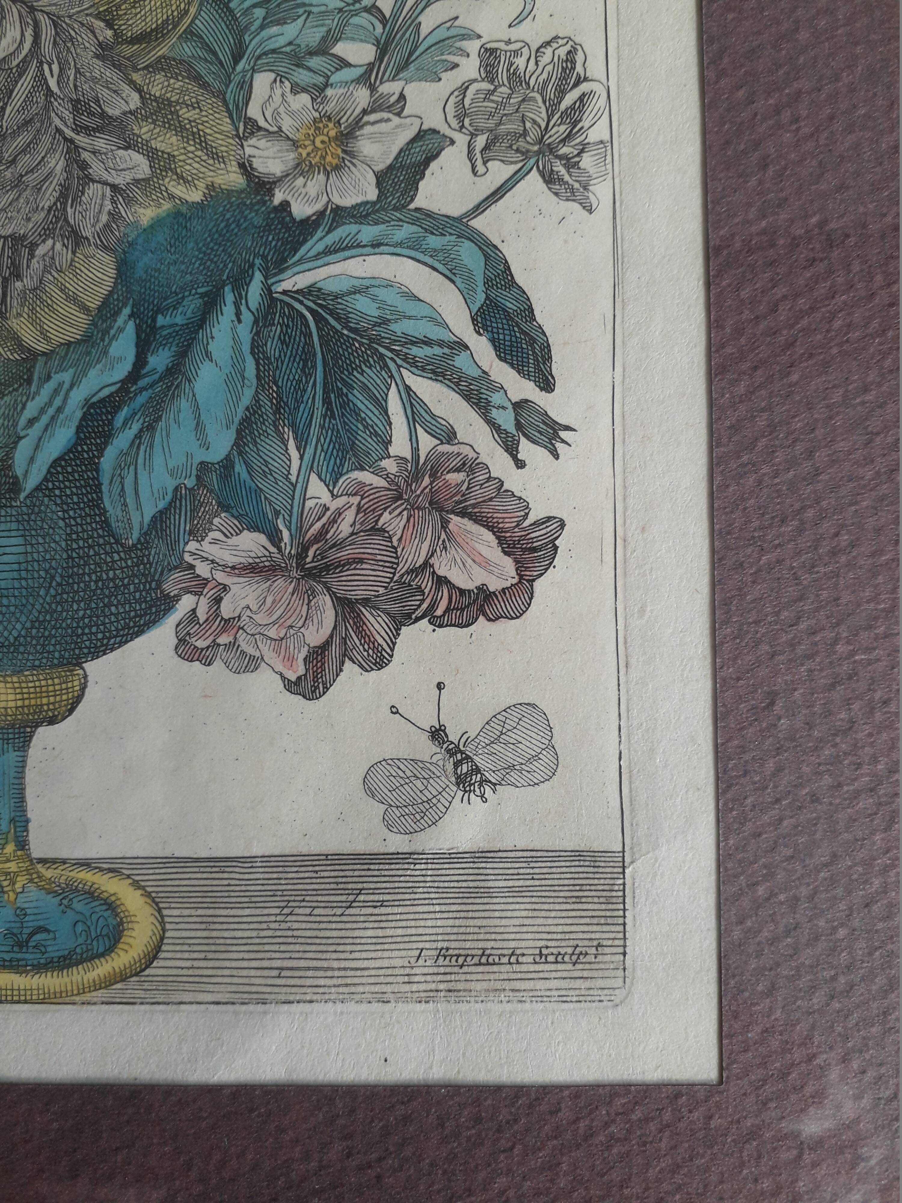Ancient botanical engraving