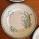 Set of 5 Saint Amandinoise Muguet Plates