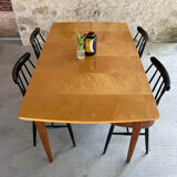 Scandinavian table teak and lemon tree Italian extensions