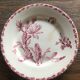 Set of 4 flat plates in Gien porcelain